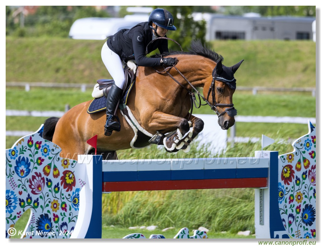 CSIO3* Grand Prix of �amor�n 155 cm