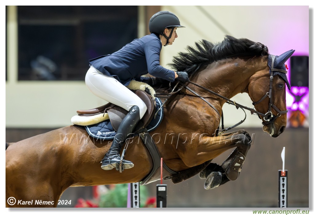 Silver Tour 2 - 140 cm