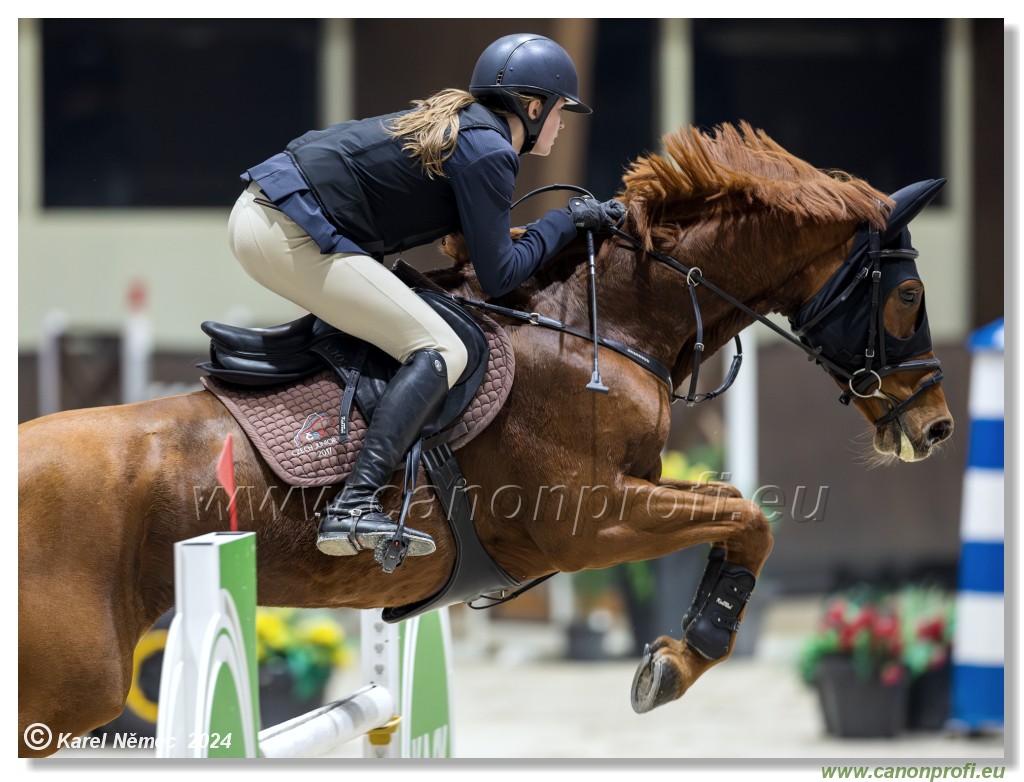 Silver Tour 2 - 140 cm