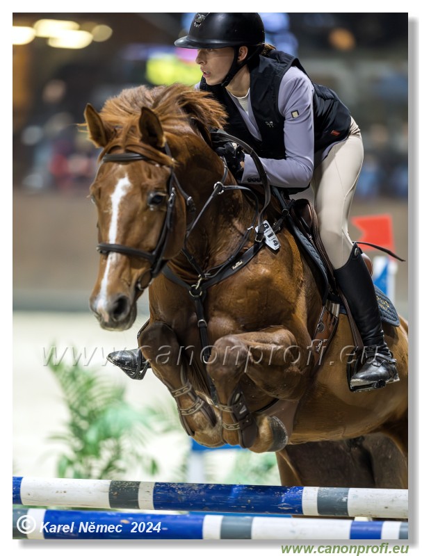 Silver Tour 2 - 140 cm