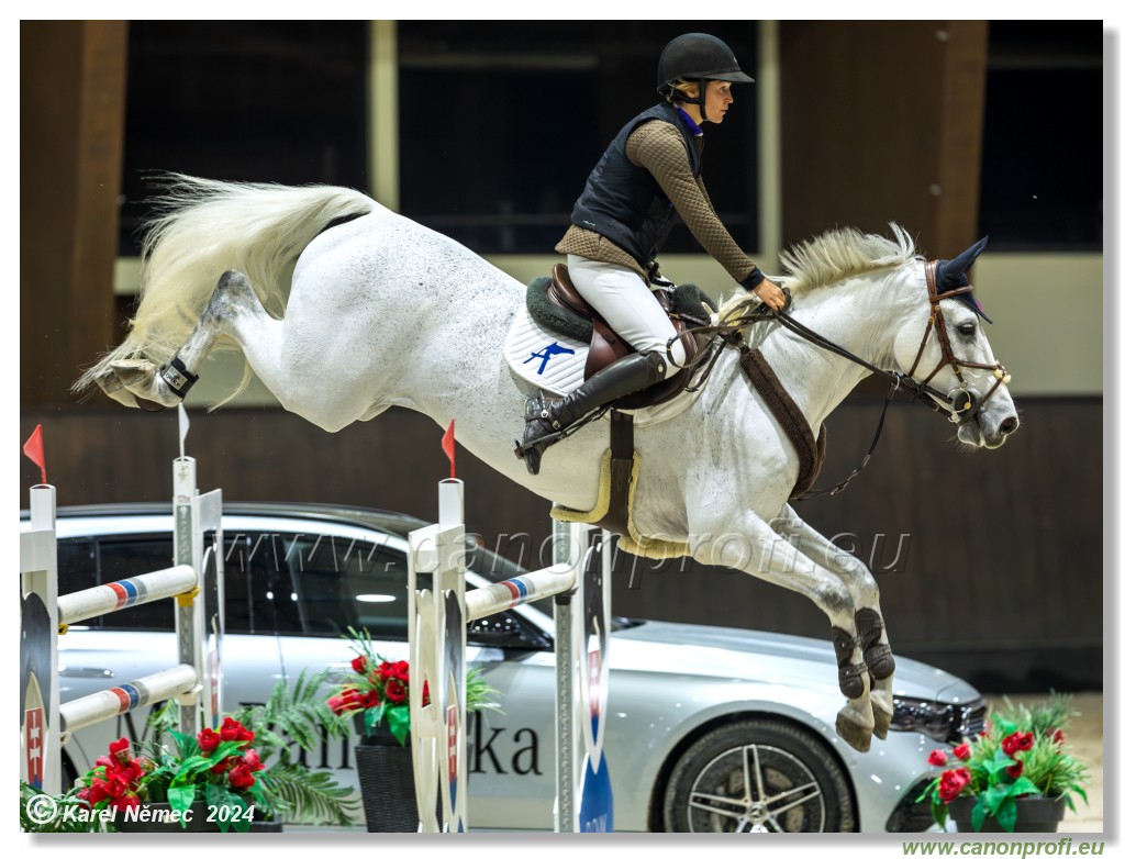 Silver Tour 2 - 140 cm