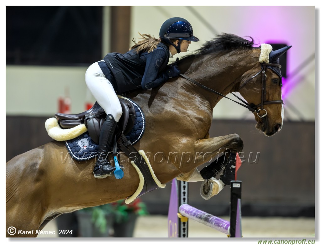 Silver Tour 2 - 140 cm