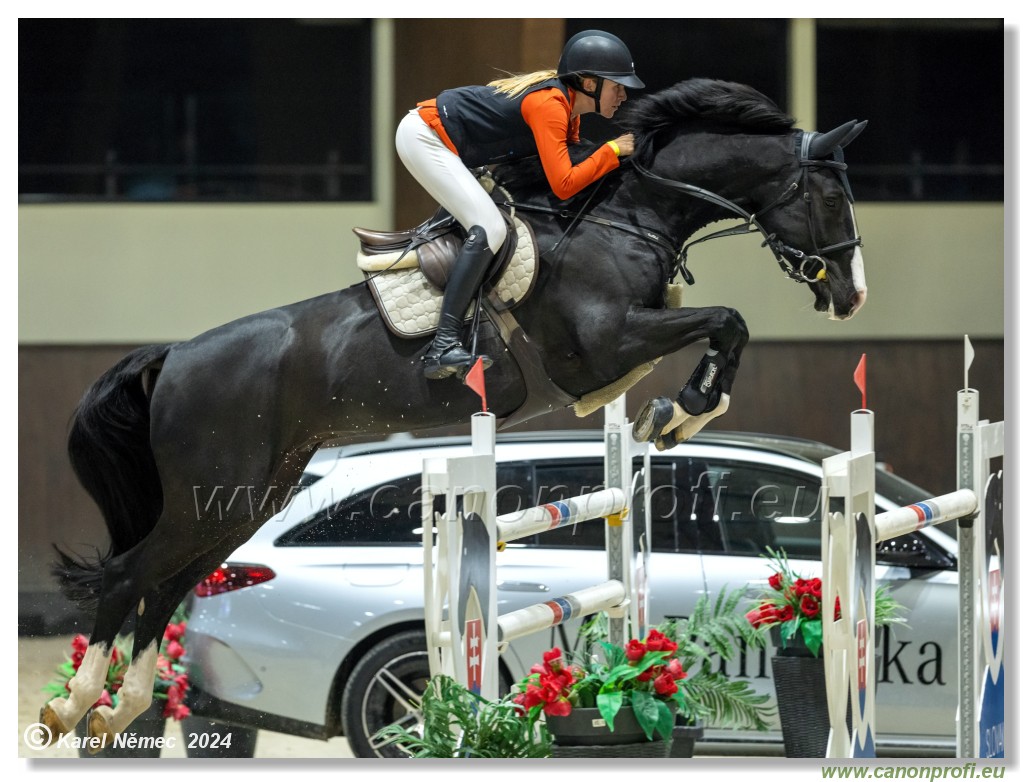 Silver Tour 2 - 140 cm