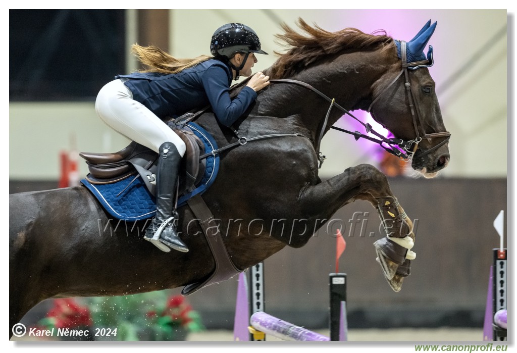 Silver Tour 2 - 140 cm