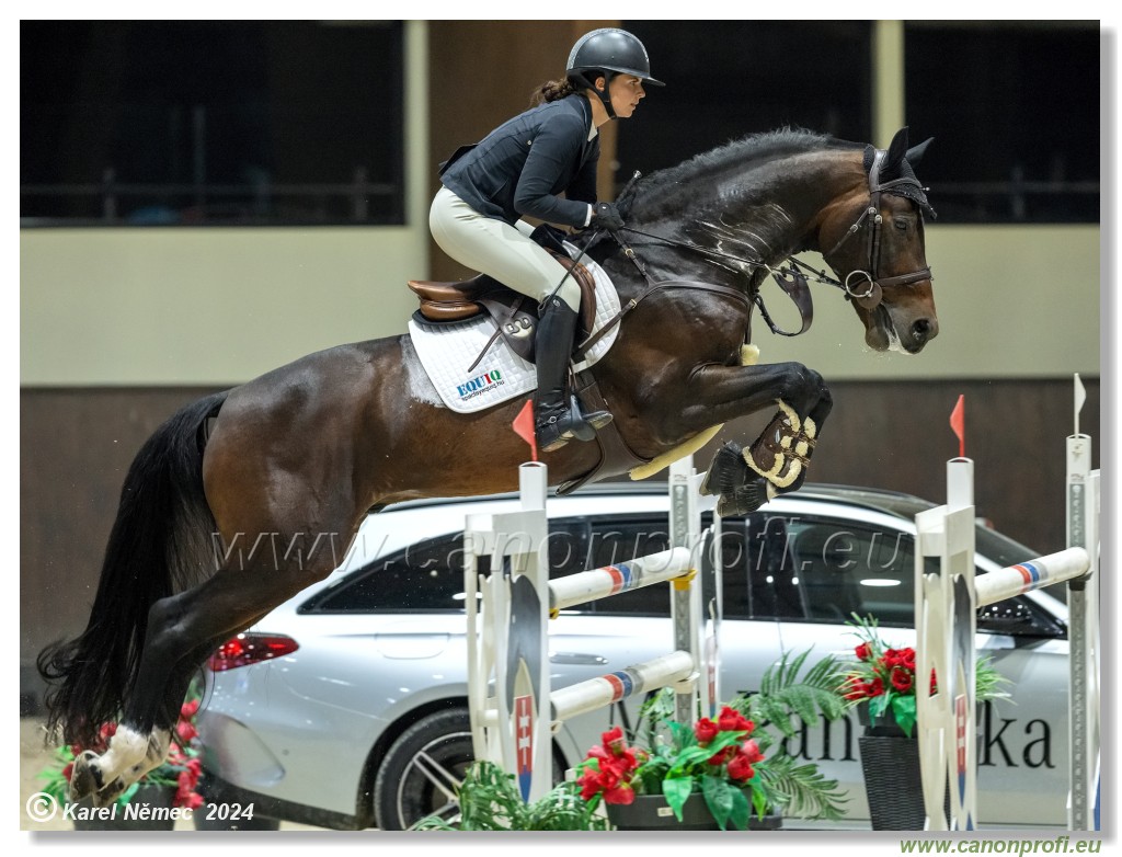 Silver Tour 2 - 140 cm