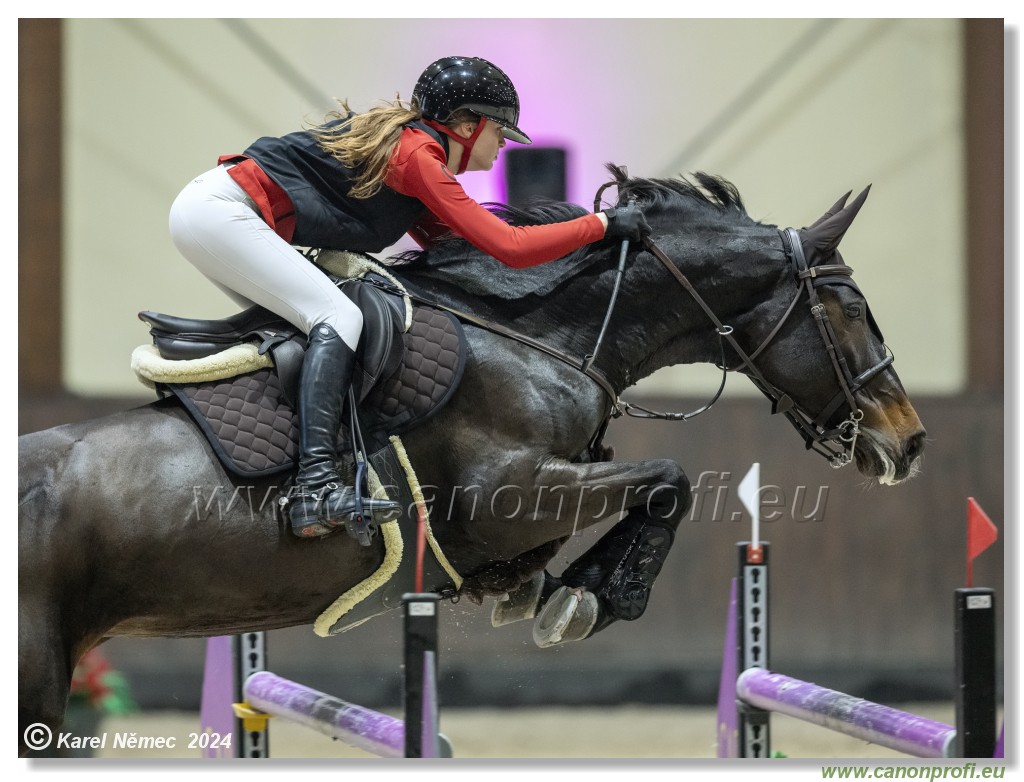 Silver Tour 2 - 140 cm