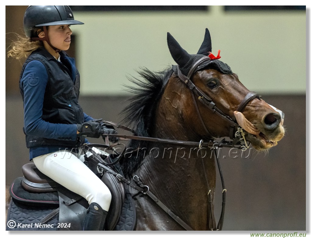 Silver Tour 2 - 140 cm