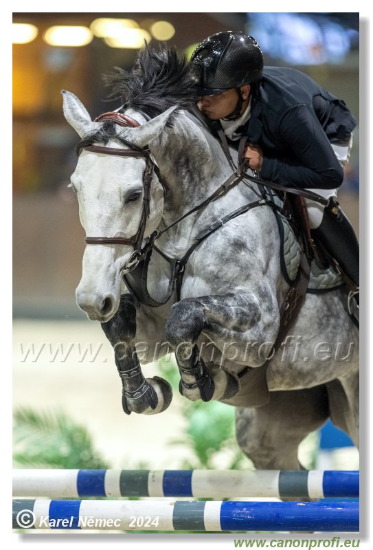 Silver Tour 2 - 140 cm