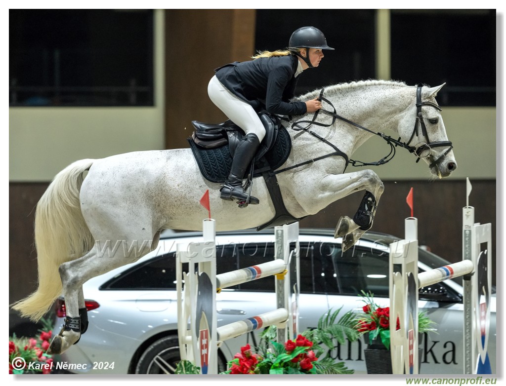 Silver Tour 2 - 140 cm