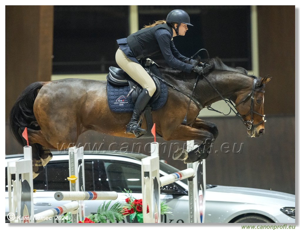 Silver Tour 2 - 140 cm