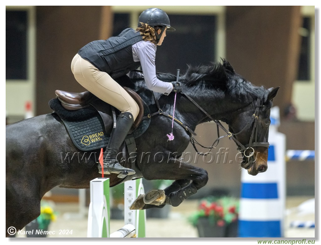 Silver Tour 2 - 140 cm