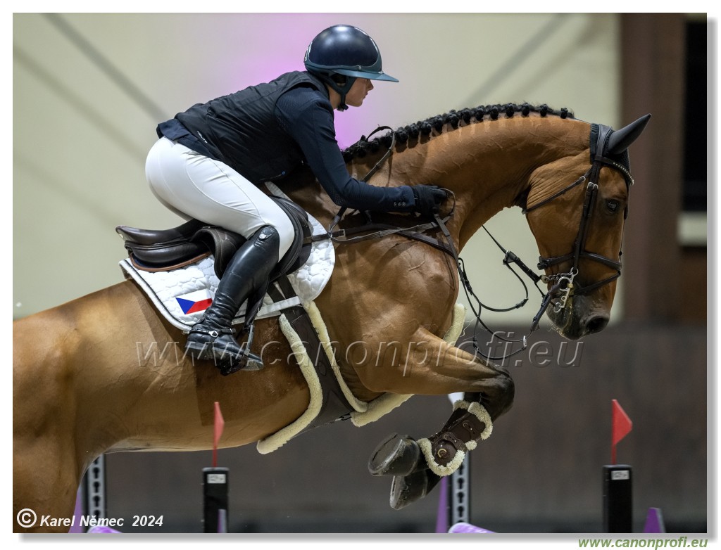 Silver Tour 2 - 140 cm