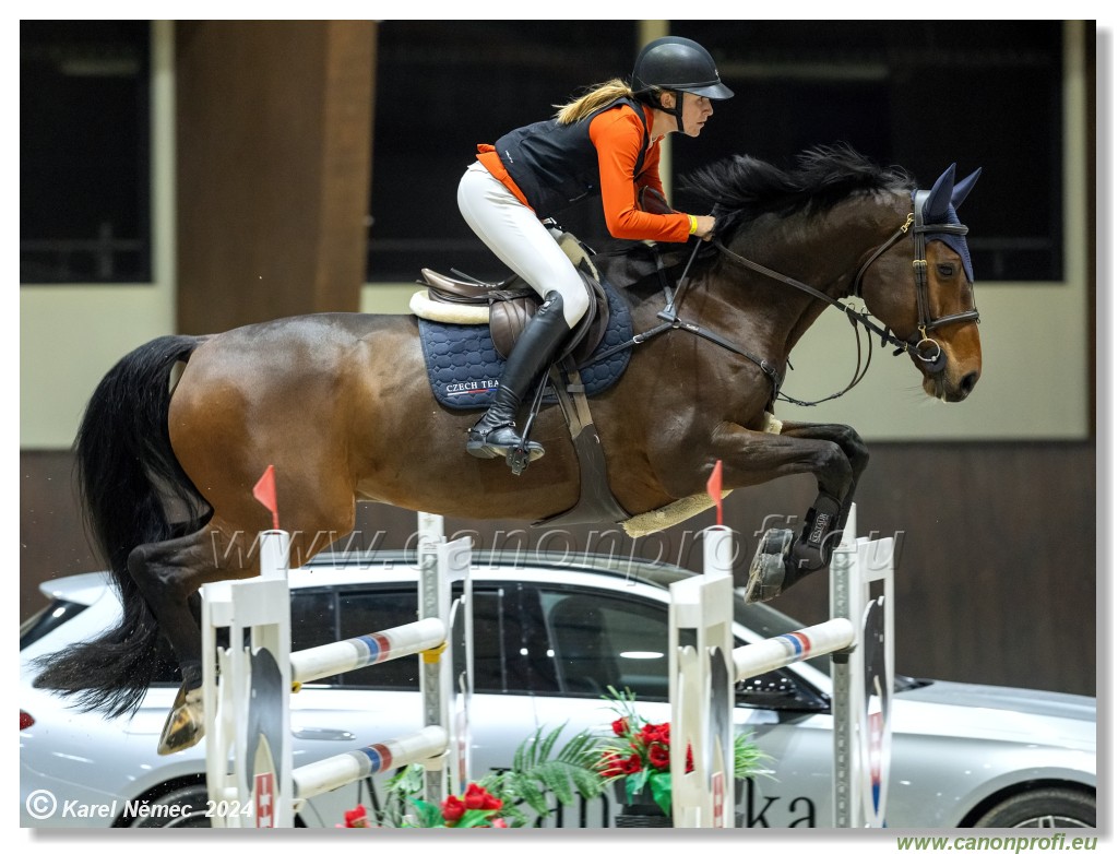 Silver Tour 2 - 140 cm