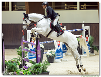 Gold Tour Grand Prix 150 cm