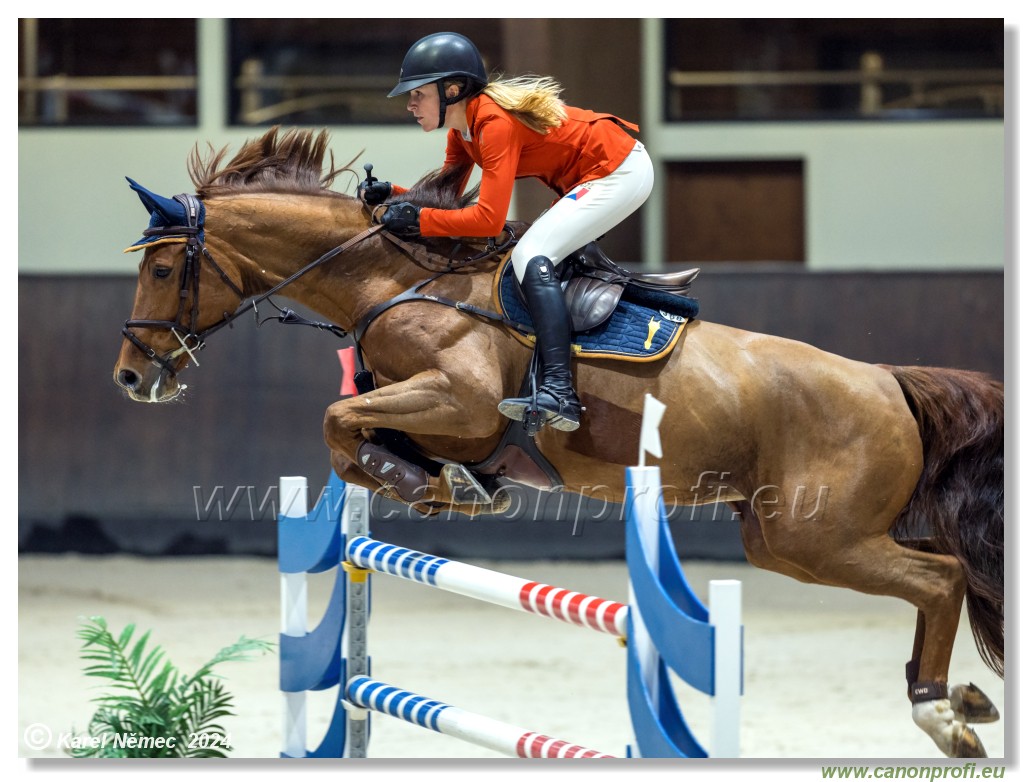 Gold Tour Grand Prix 150 cm
