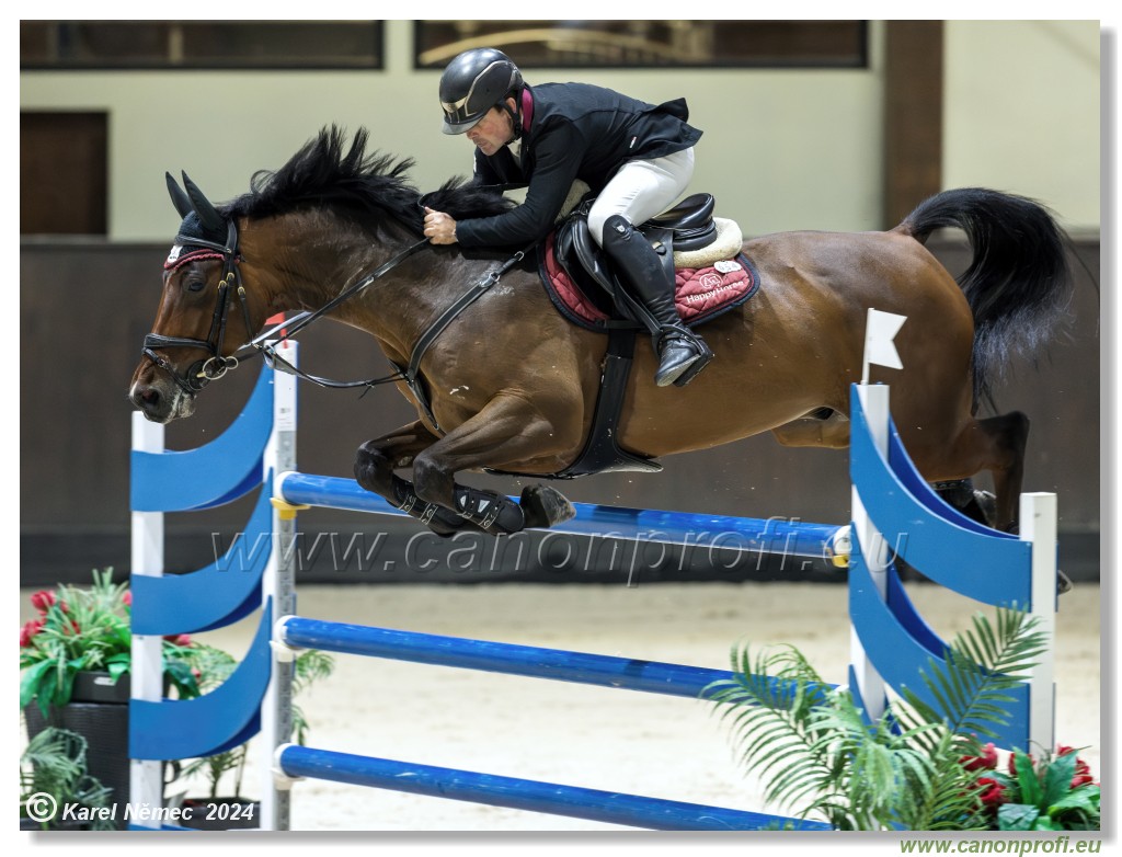 Gold Tour Grand Prix 150 cm