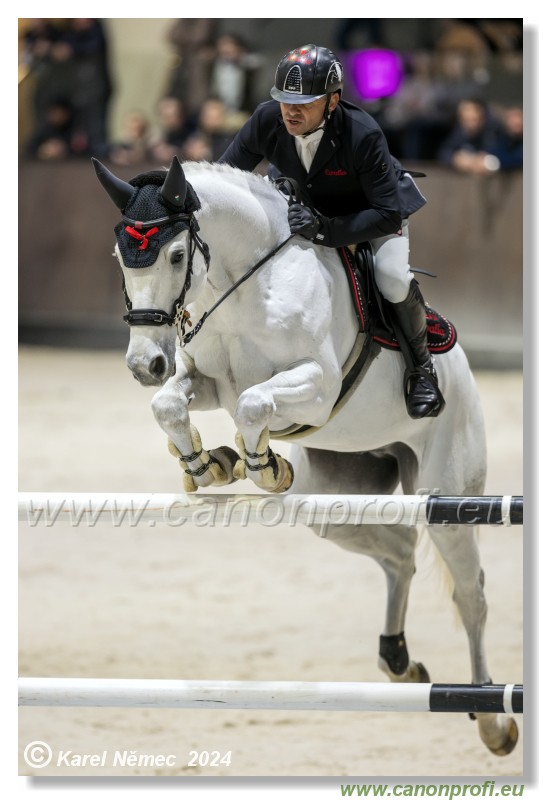 Gold Tour Grand Prix 150 cm