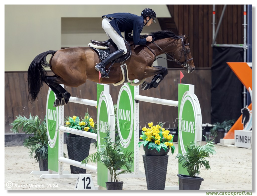 Gold Tour Grand Prix 150 cm