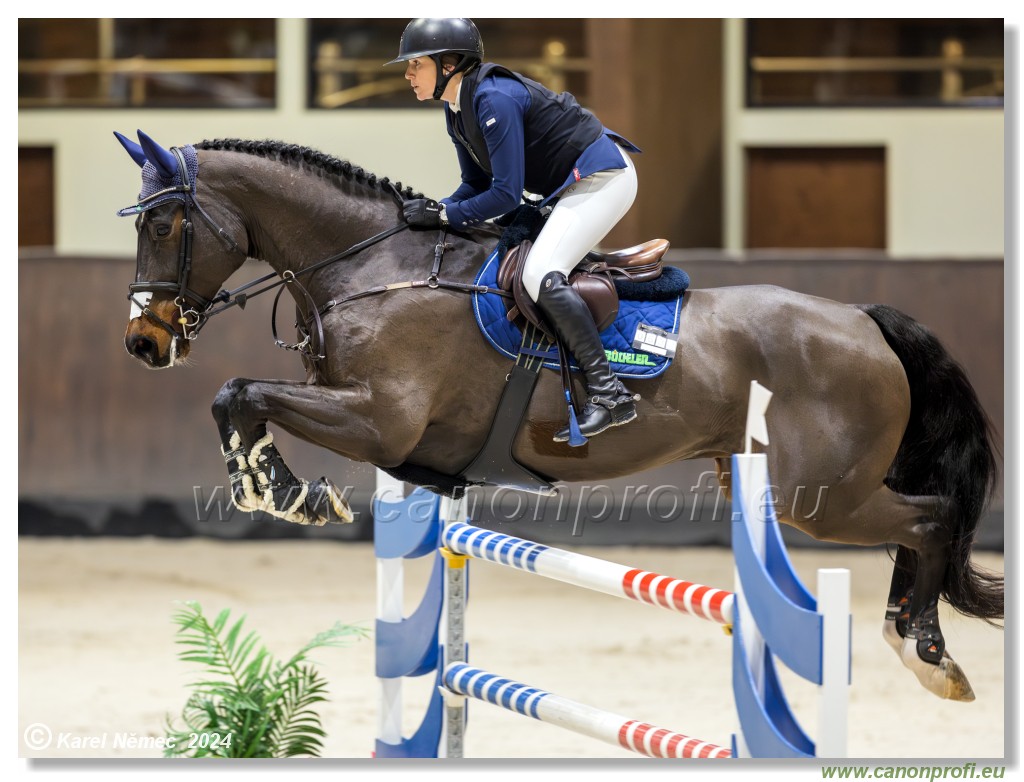 Gold Tour Grand Prix 150 cm