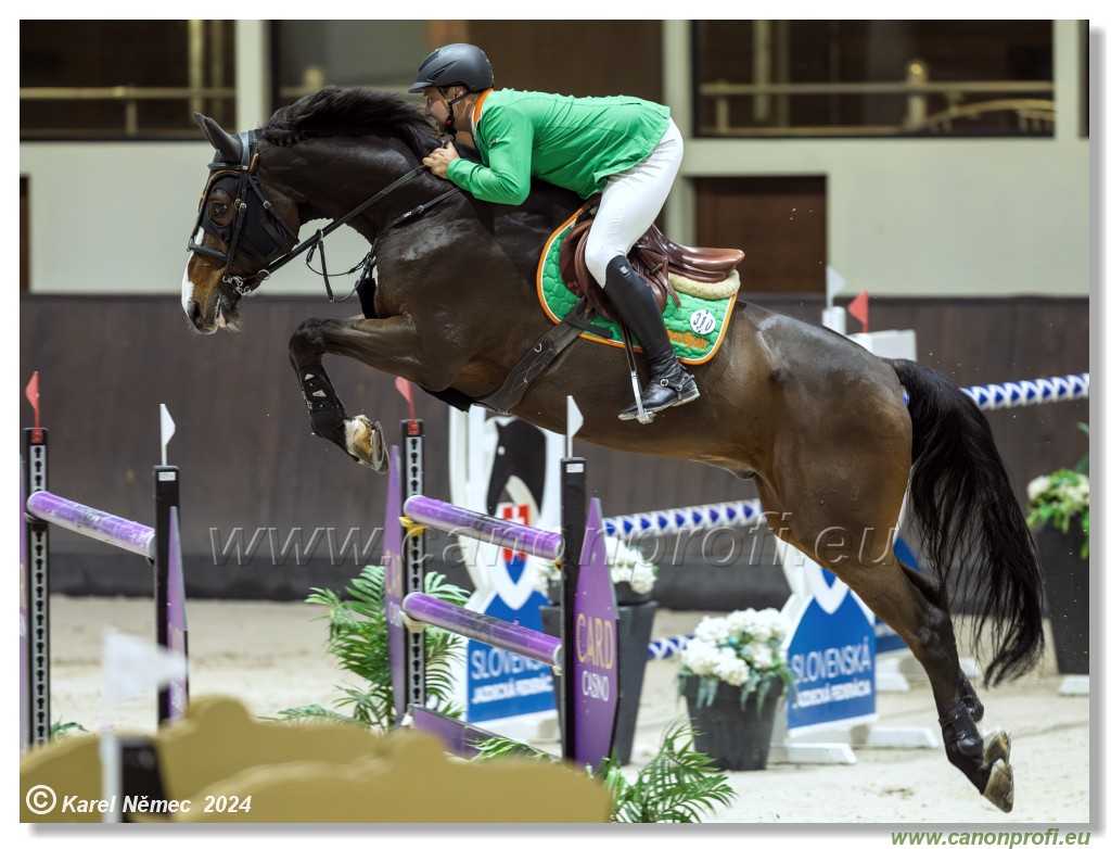 Gold Tour Grand Prix 150 cm