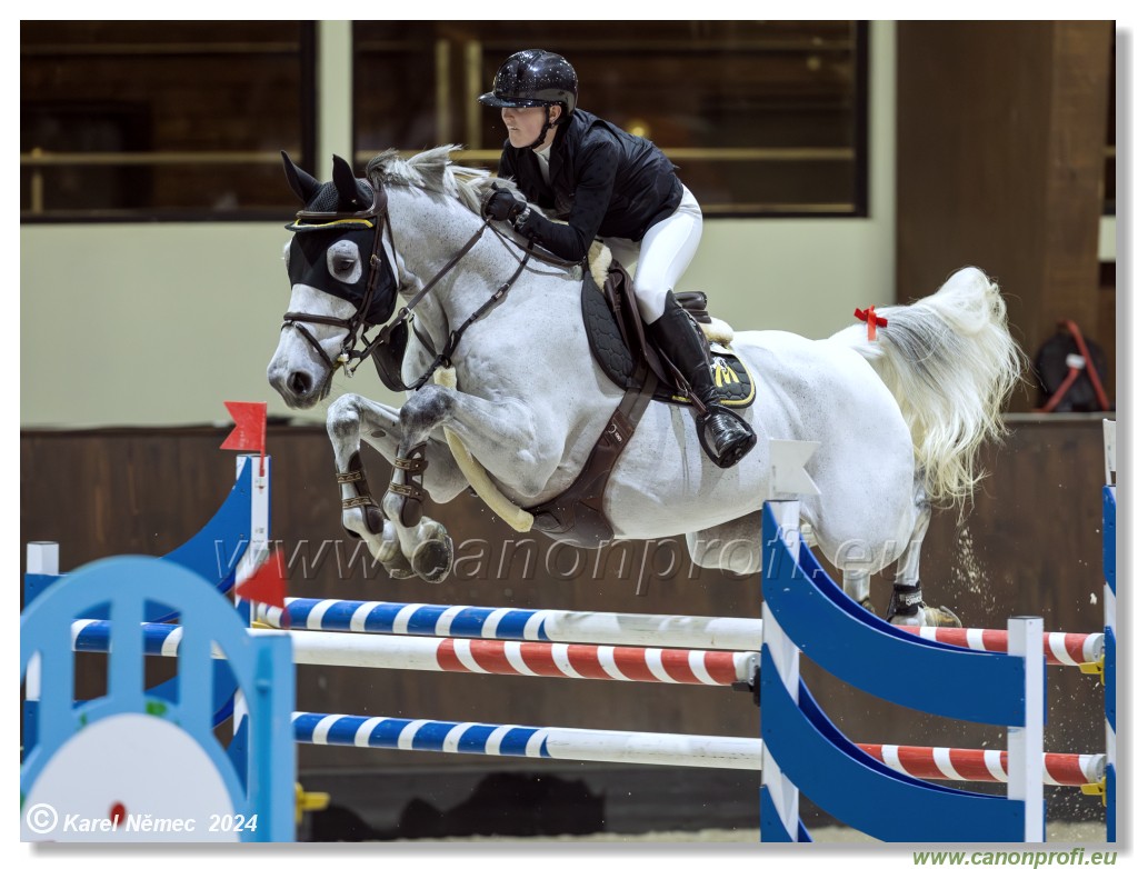 Gold Tour Grand Prix 150 cm