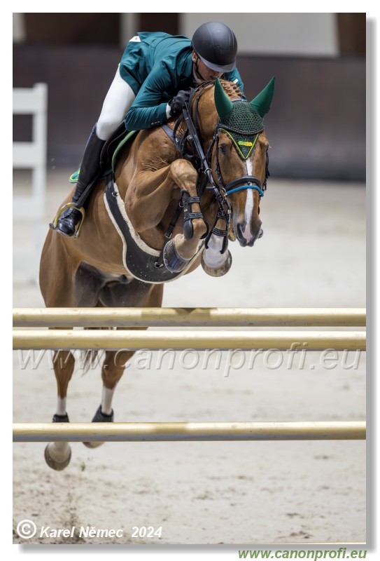 Gold Tour Grand Prix 150 cm