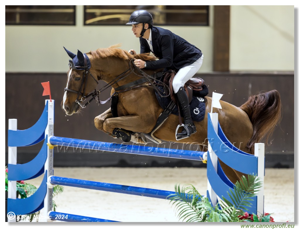 Gold Tour Grand Prix 150 cm