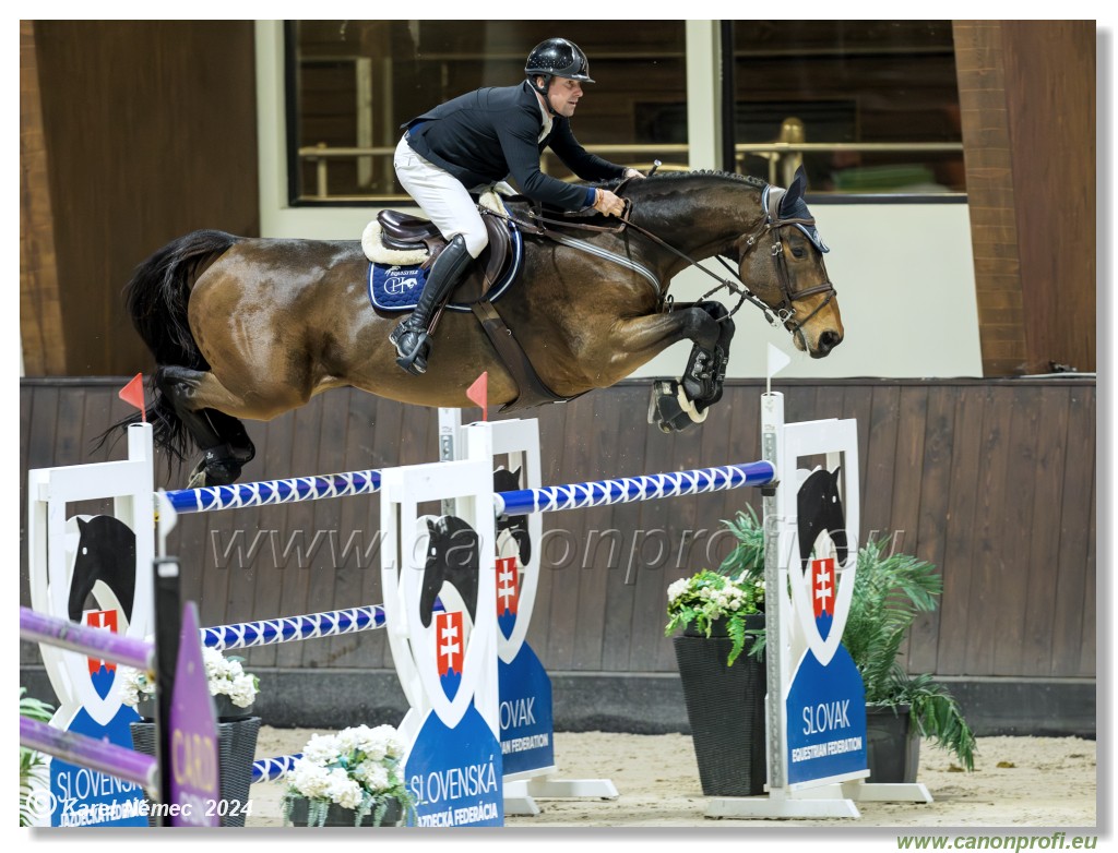 Gold Tour Grand Prix 150 cm