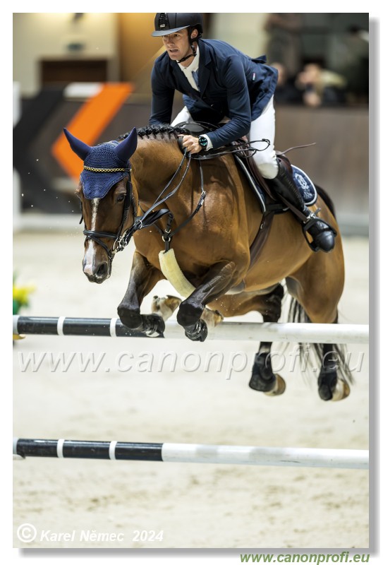 Gold Tour Grand Prix 150 cm