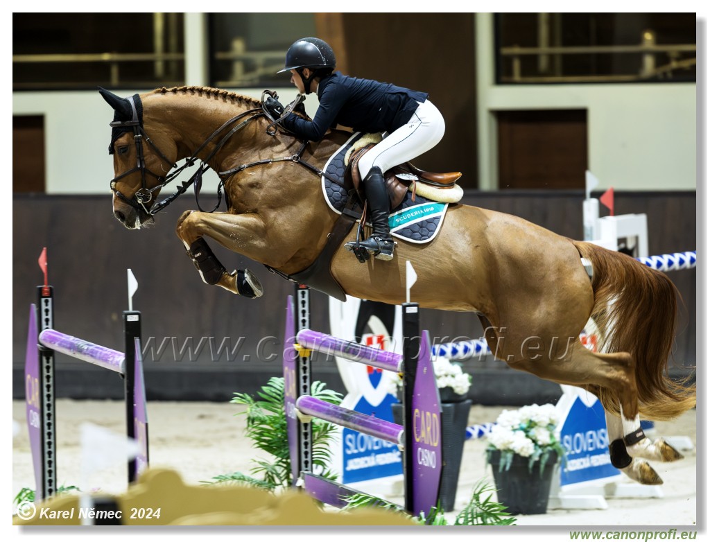 Gold Tour Grand Prix 150 cm