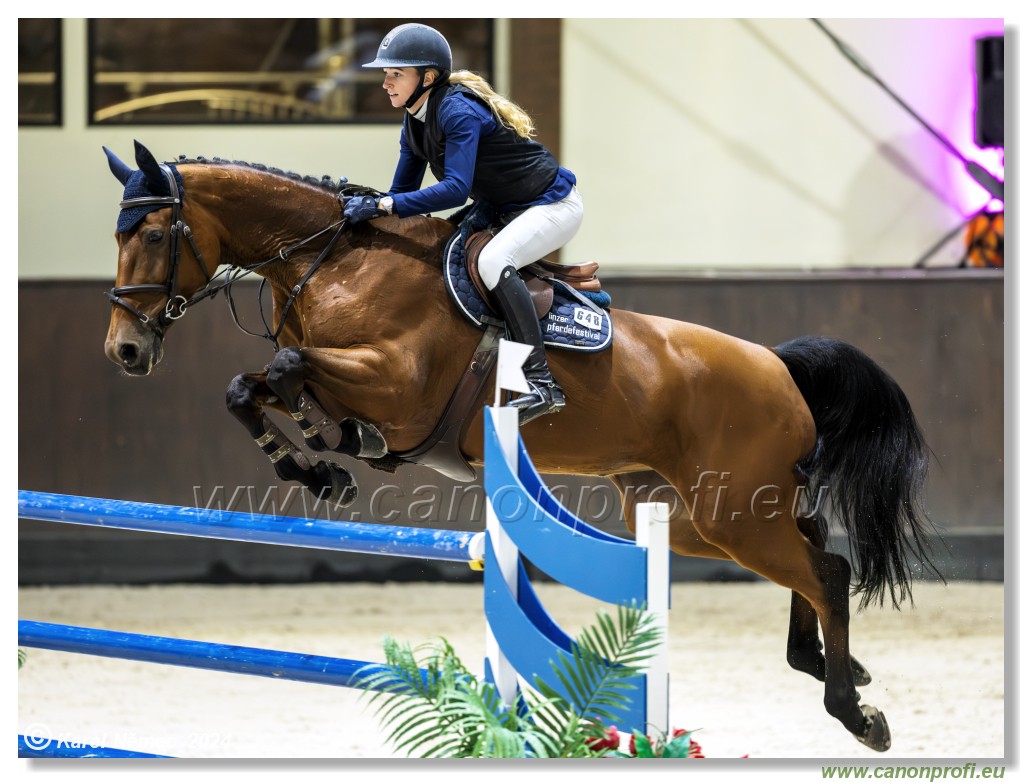 Gold Tour Grand Prix 150 cm