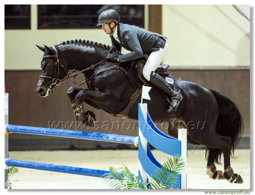 Gold Tour Grand Prix 150 cm