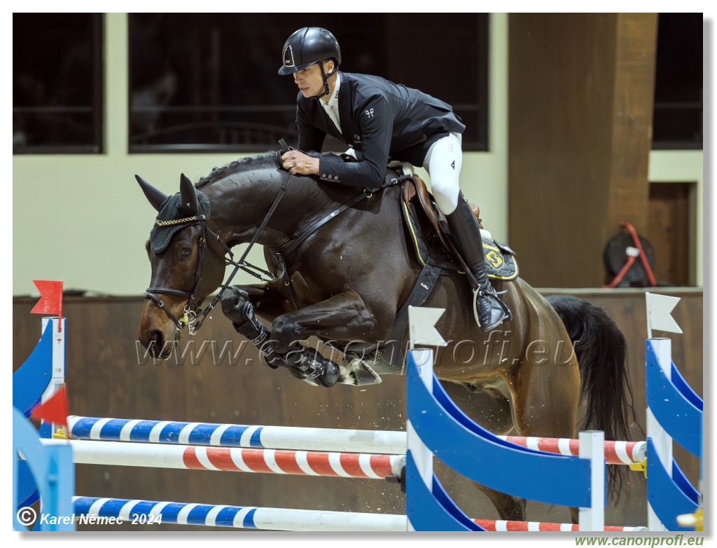 Gold Tour Grand Prix 150 cm