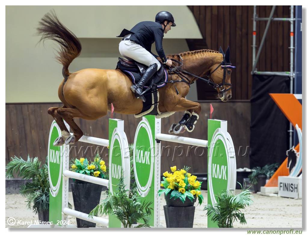 Gold Tour Grand Prix 150 cm