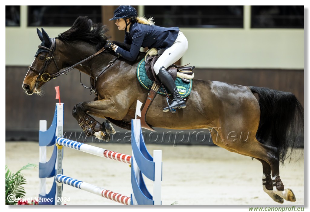 Gold Tour Grand Prix 150 cm