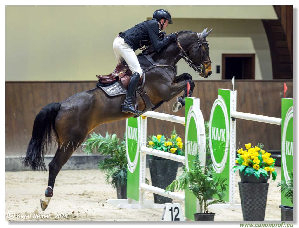 Gold Tour Grand Prix 150 cm