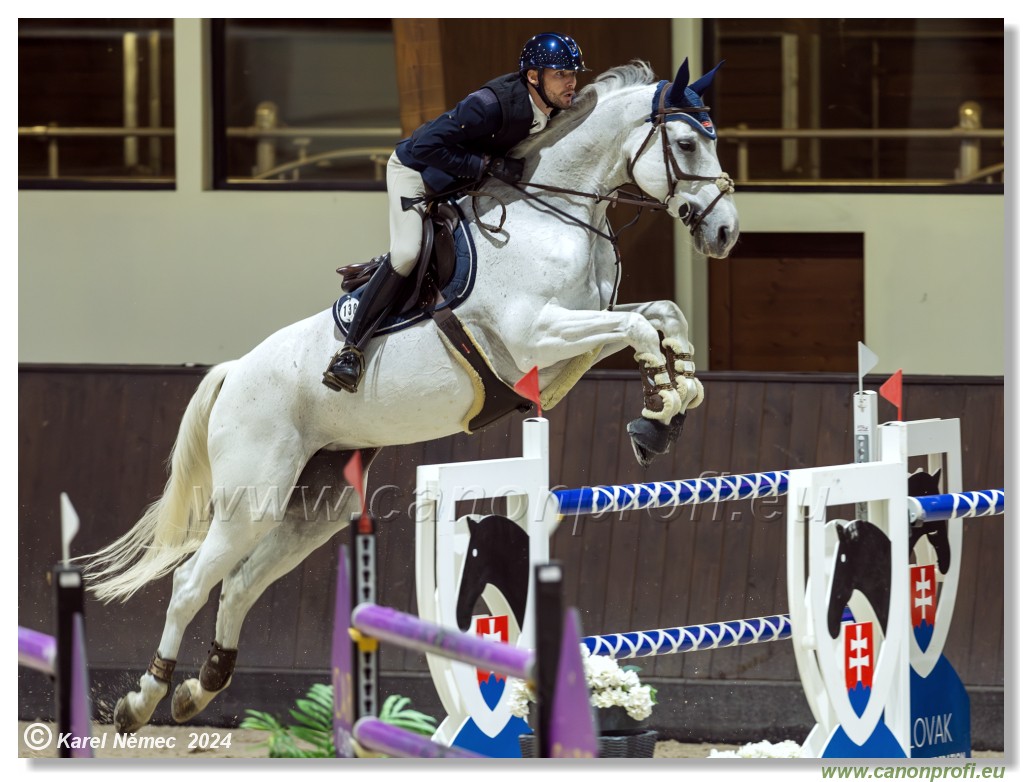 Gold Tour Grand Prix 150 cm