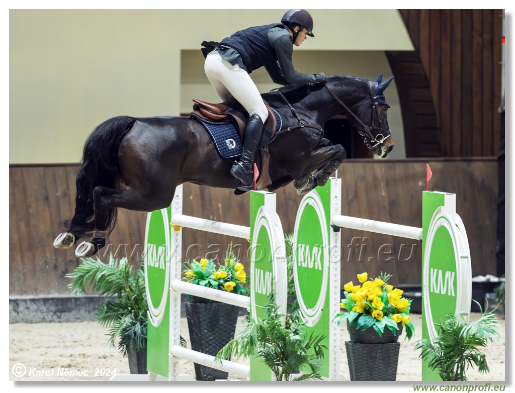 Gold Tour Grand Prix 150 cm