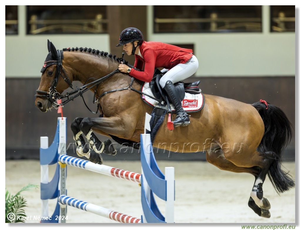 Gold Tour Grand Prix 150 cm