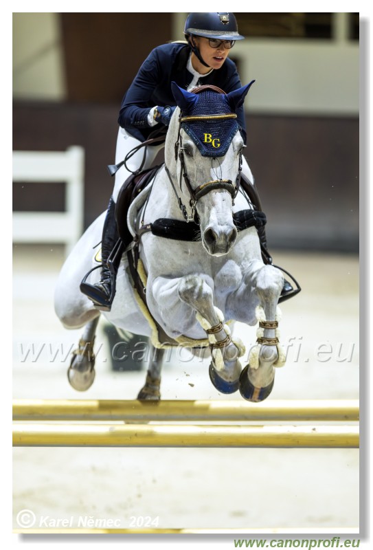 Gold Tour Grand Prix 150 cm