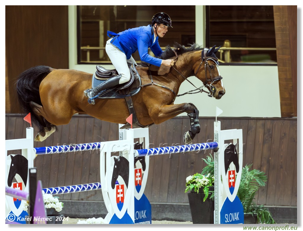 Gold Tour Grand Prix 150 cm