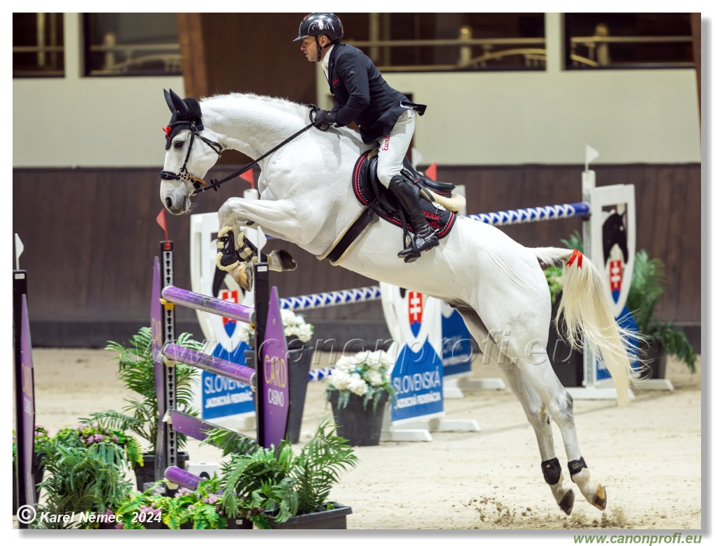 Gold Tour Grand Prix 150 cm