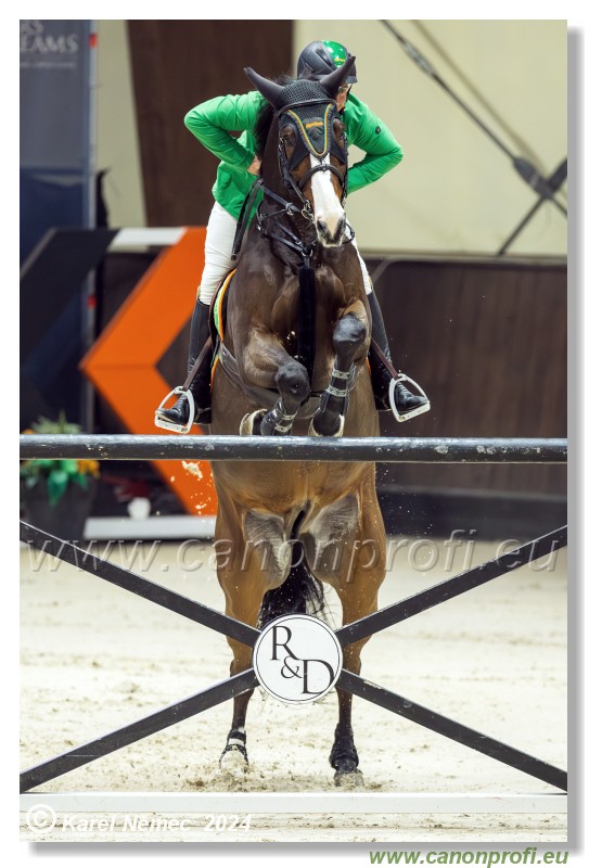 Gold Tour Grand Prix 150 cm