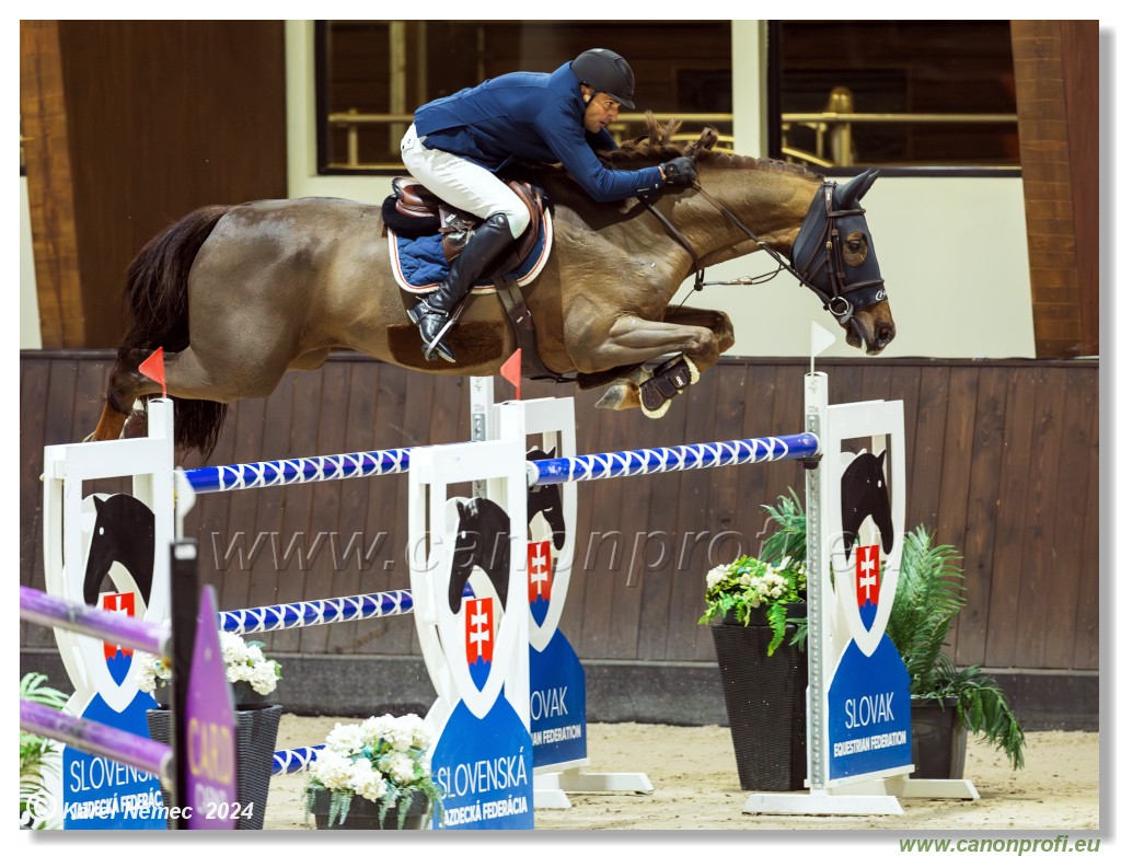 Gold Tour Grand Prix 150 cm