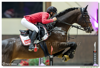 �amor�n - CSI November 2024 - 01-02 November 2024