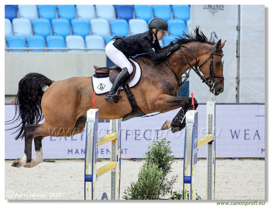 Danube Equestrian Festival - CSIO1* - Big Tour