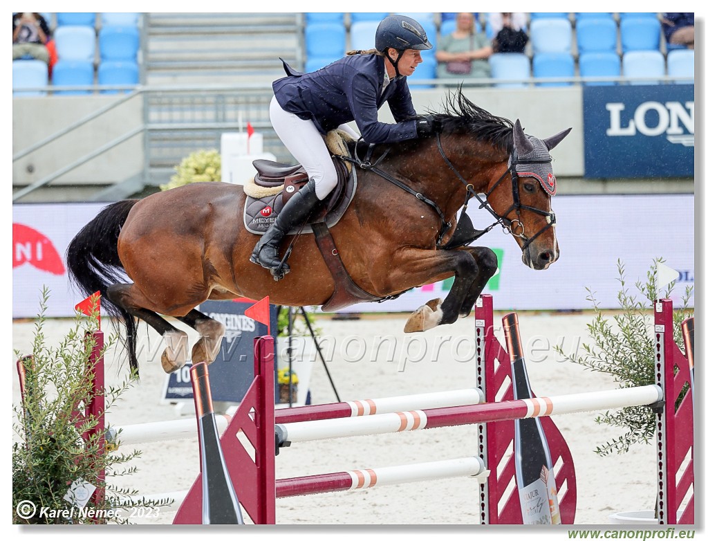 Danube Equestrian Festival - CSIO1* - Big Tour