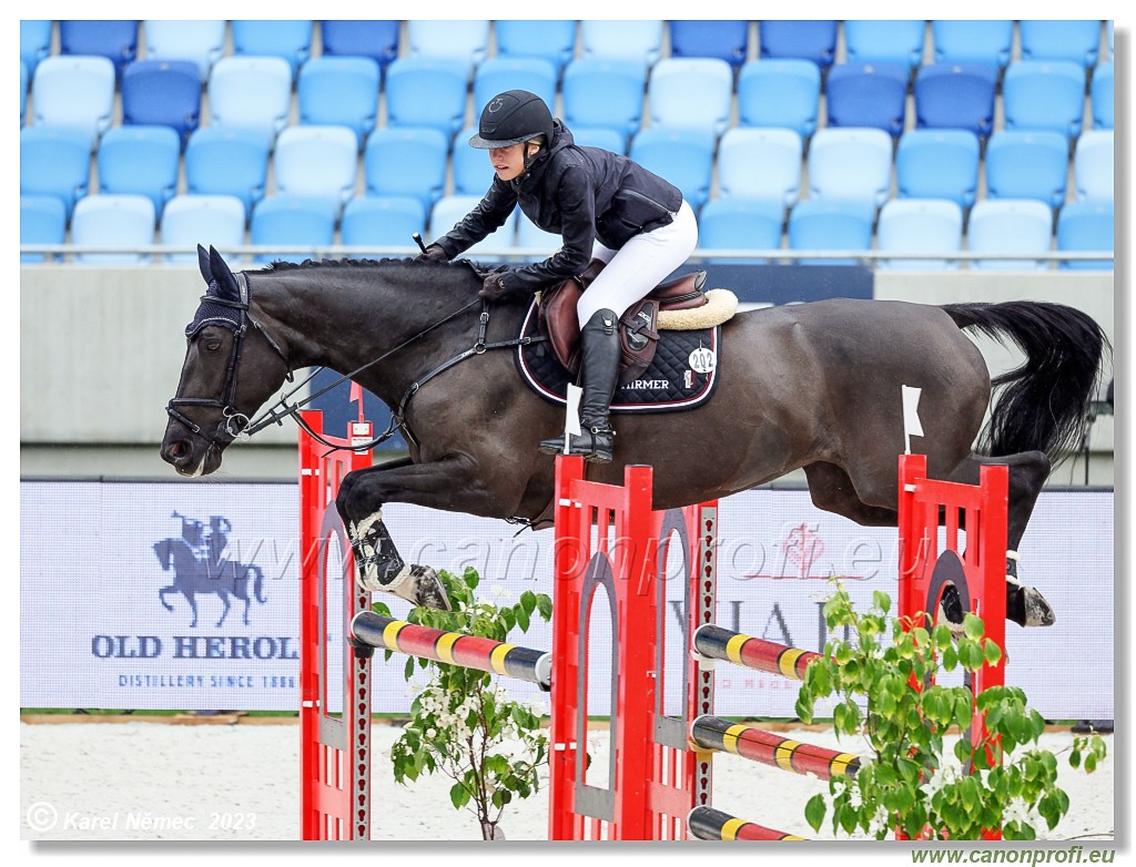 Danube Equestrian Festival - CSIO1* - Big Tour