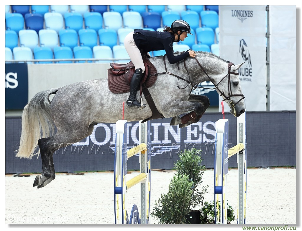 Danube Equestrian Festival - CSIO1* - Big Tour