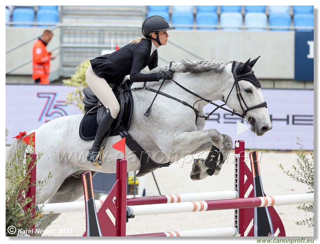 Danube Equestrian Festival - CSIO1* - Big Tour